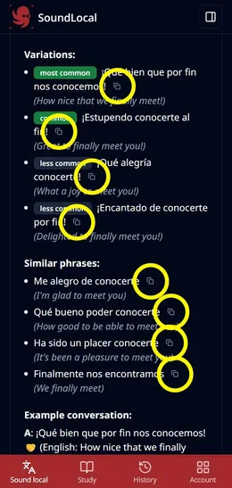 Copy button example