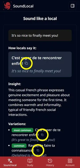 Copy button example